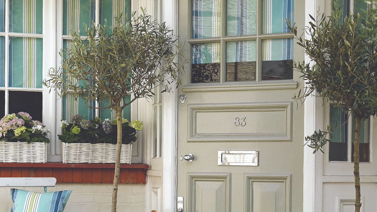 Khaki front door and white windows with two olive trees and flowers on windowsill