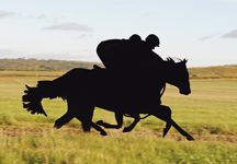 weatherby_horses-hr.jpg