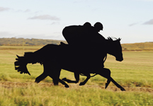 weatherby_horses-hr.jpg