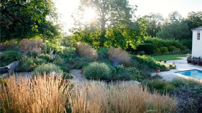 sloped backyard with profuse planting with perennials and grasses