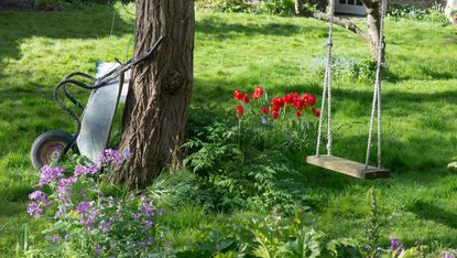 how to hang a tree swing: swing hanging from tree in garden