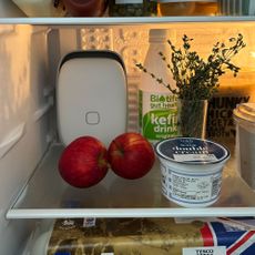 Shelfy in a fridge with apples