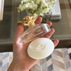 Jamie Chevron testing Dove's Original Fragrance 