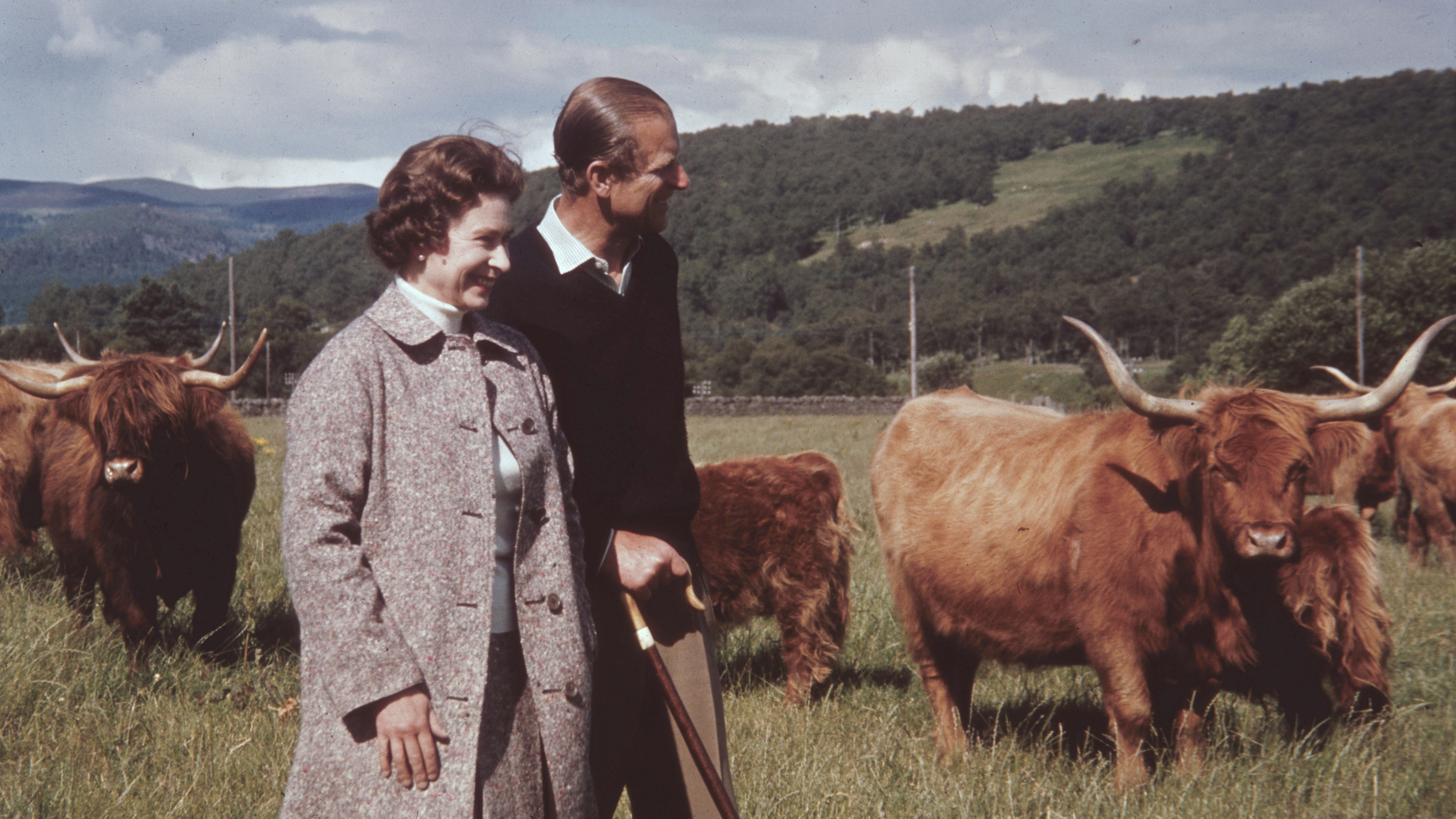 Queen Elizabeth II and Prince Philip in a field with some highland cattle at Balmoral, Scotland, 1972