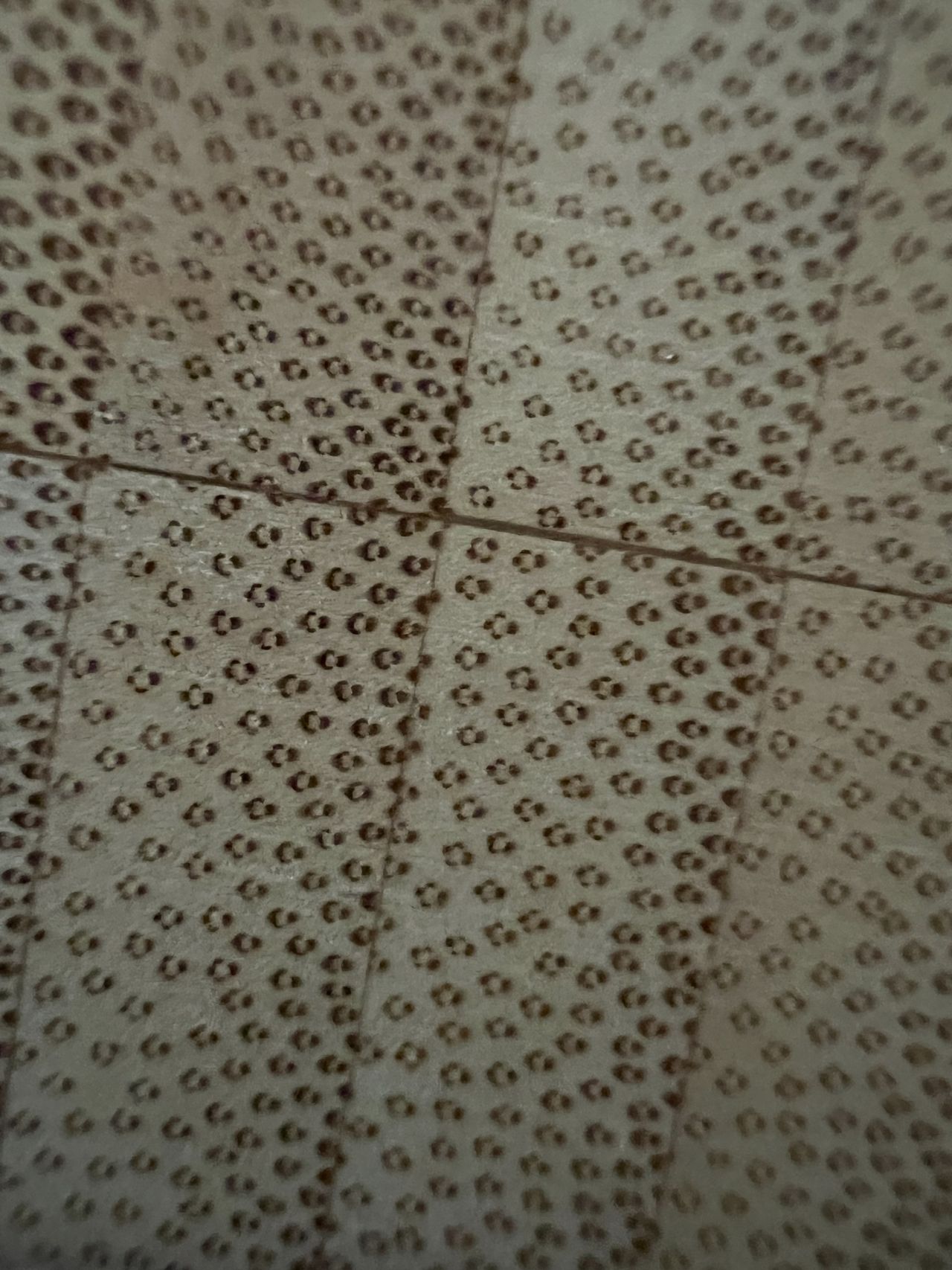 Wood Cutting Board Macro