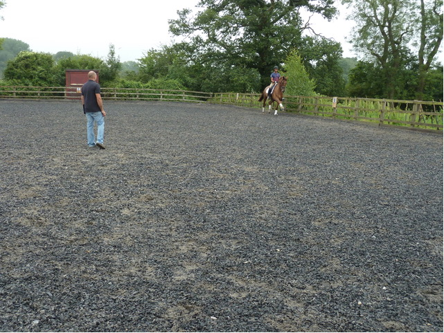 Tom to create a shoeing plan