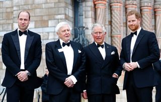Prince William, Duke of Cambridge, Sir David Attenborough, Prince Charles, Prince of Wales and Prince Harry, Duke of Sussex attend the "Our Planet" global premiere the at the Natural History Museum on April 04, 2019 in London, England