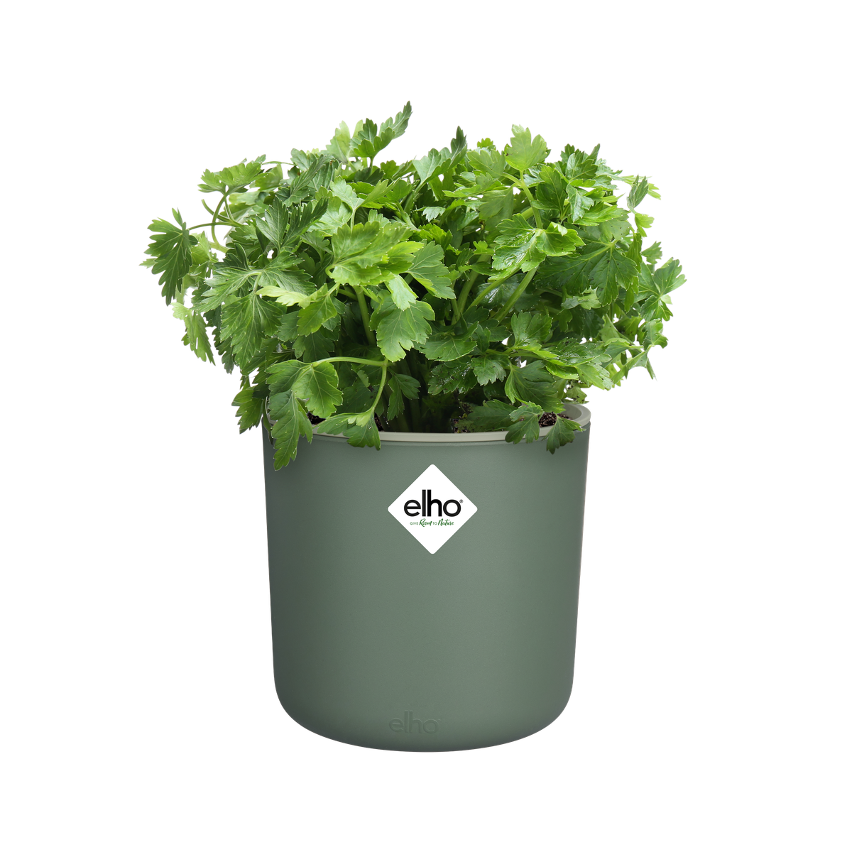 Happy Herbs 15cm Leaf Green