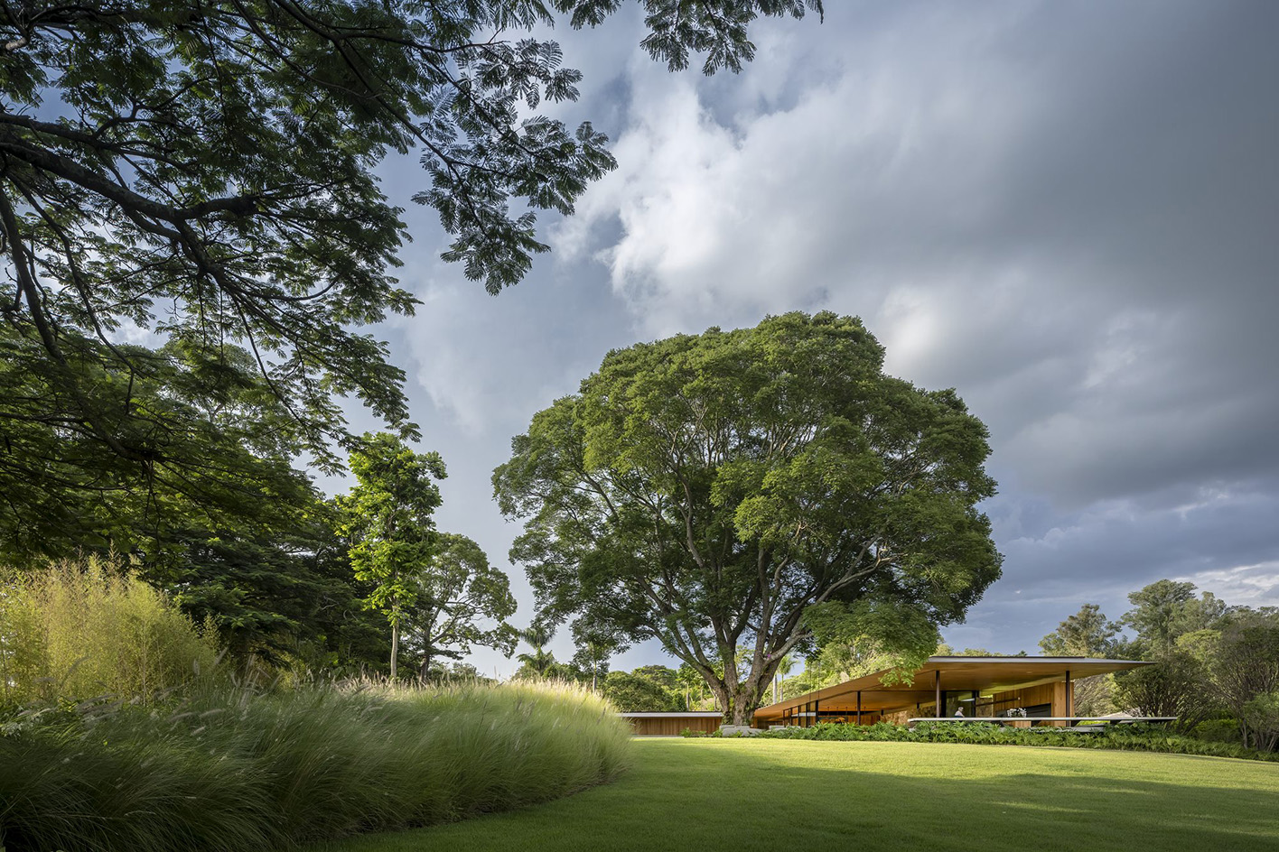 green work by work by Rodrigo Oliviera landscape architect against modern buildings