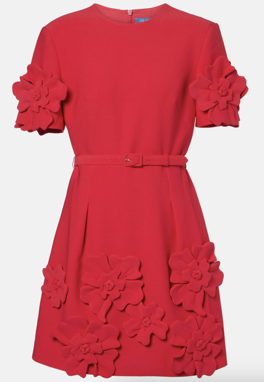Leo Lin, Aurélie Floral-Appliqué Minidress