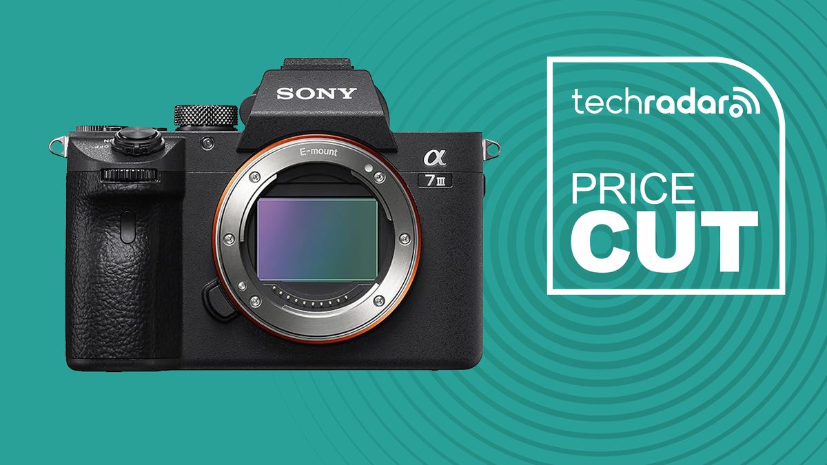 There's nothing that can touch it: Sony Alpha 7 III falls to record-low ...