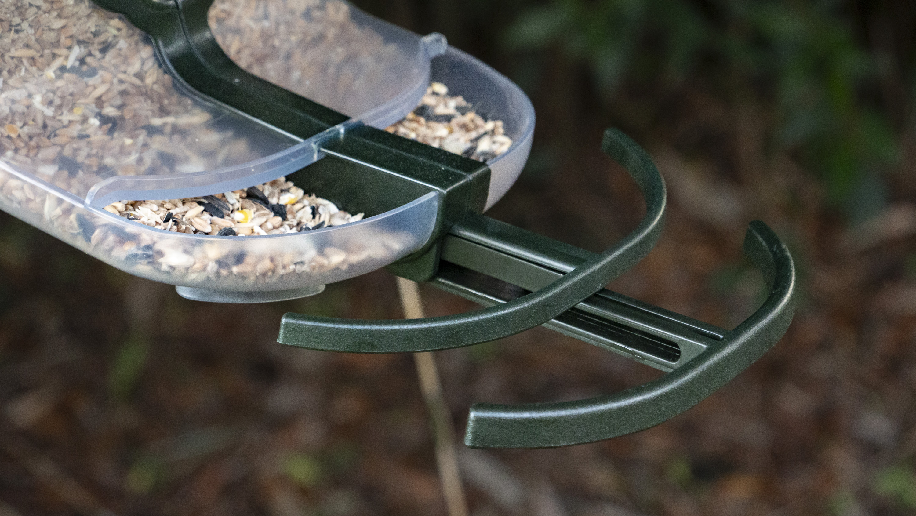 FeatherSnap Bird Feeder camera strapped around a tree with bamboo backdrop