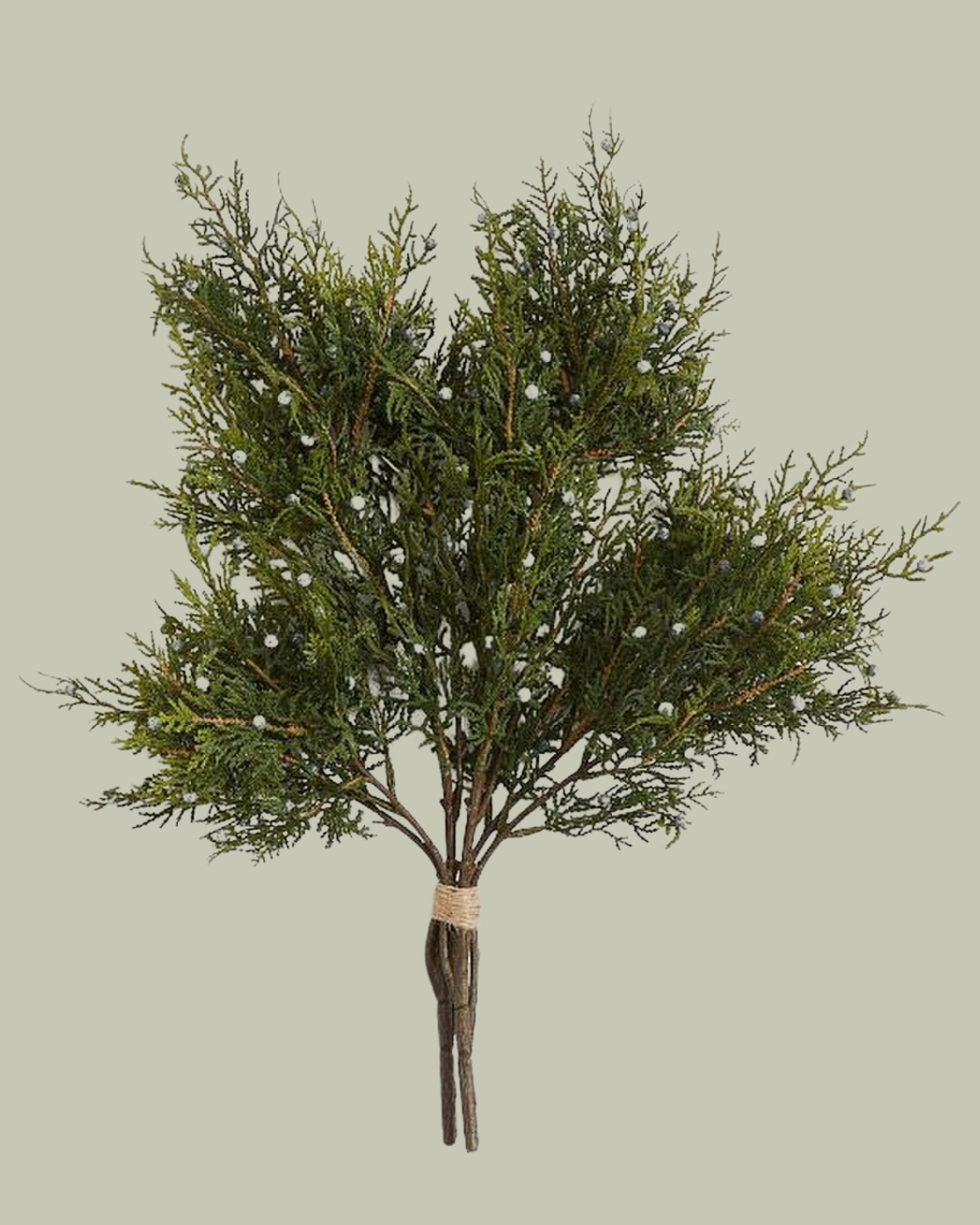 Pottery Barn, Faux Juniper Bundle