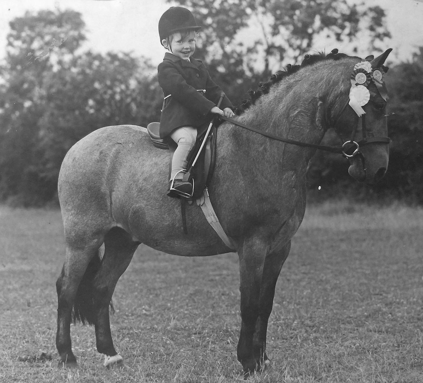 nostalgia issue Annie Grey-Edwards on Red Spark_396223582_693520651