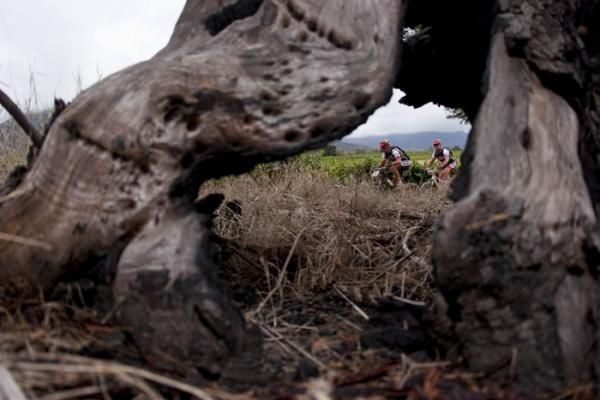 Riders during stage six of the 2010 Absa Cape Epic Mountain Bike stage race between Worcester and Oak Valley