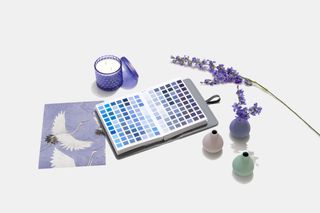 Pantone colour of the year home decor