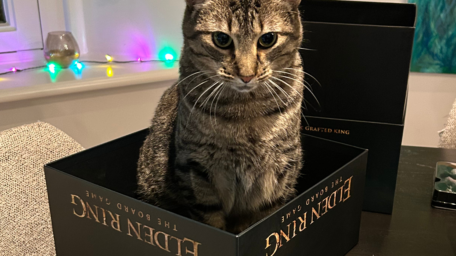 A cat sitting in the Elden Ring board game box