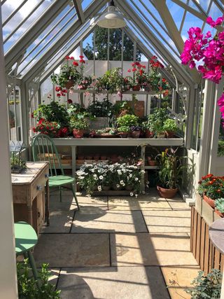alitex greenhouse at rhs hampton court garden festival 2021