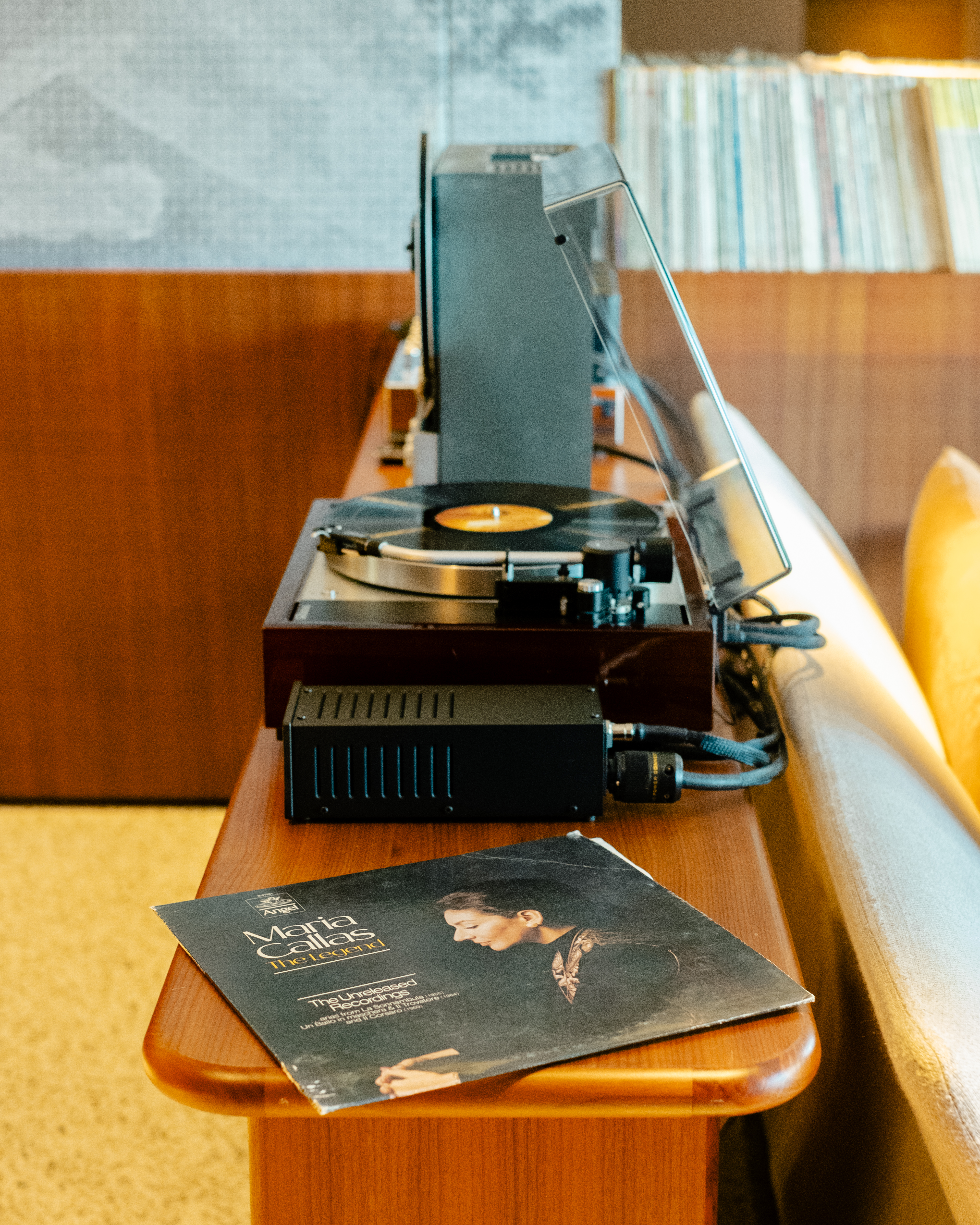 A high-fidelity suite fitted with retro-inspired amplifiers, speakers, a turntable, and a sprawling record collection features a mid-century-cool vibe through wood-clad surfaces and sculptural designs.