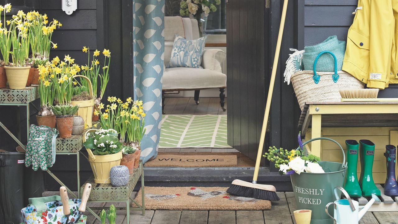 Potted daffodils on tiered potting benches in garden, welly boots, broomstick and garden tools outside house