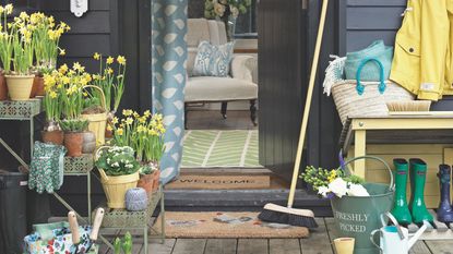 Potted daffodils on tiered potting benches in garden, welly boots, broomstick and garden tools outside house