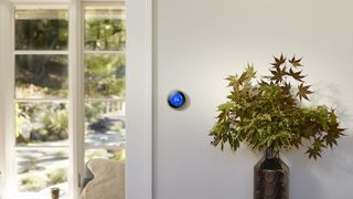 The nest learning thermostat mounted on a wall