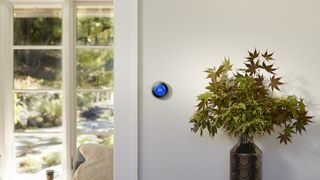 nest learning thermostat