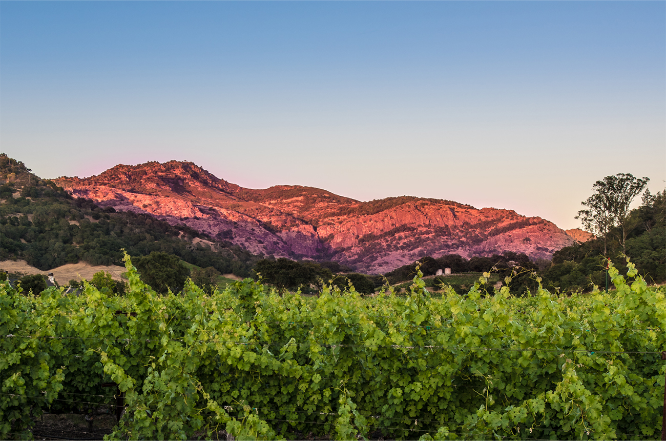 Stags Leap District 2019