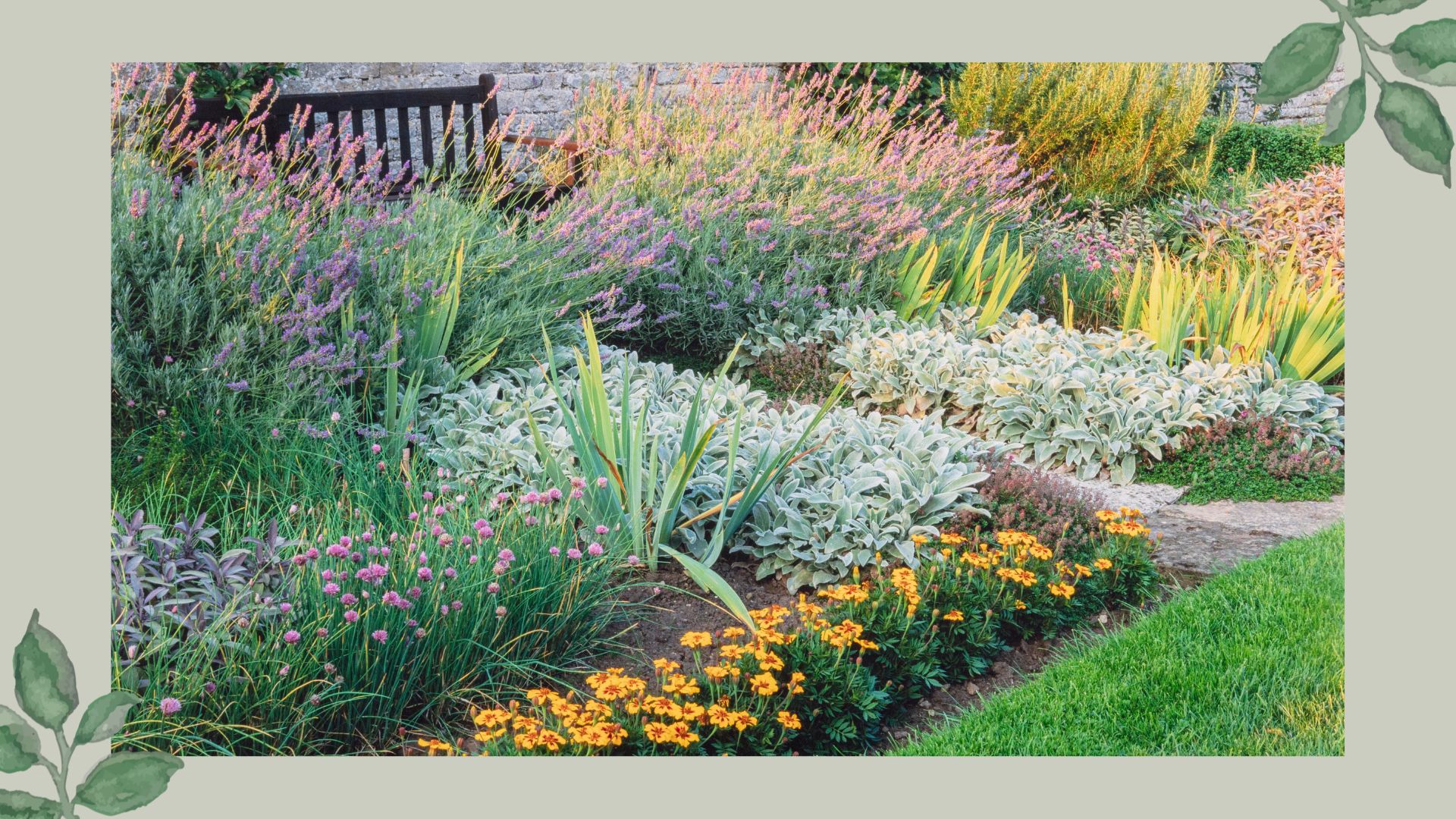 established garden borders filled with perennials and bedding plants