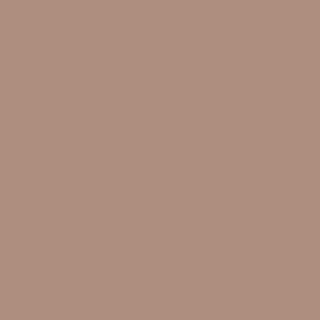 muted warm brown paint swatch