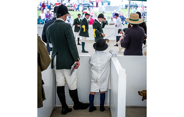Six-year-old Jack Higgs with his father Matthew Higgs MH from the Trinity Foot and South Herts Beagles keep a close eye on the judging