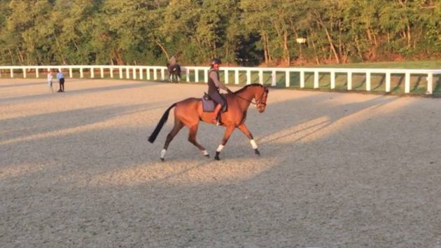 Schooling Vinnie in France