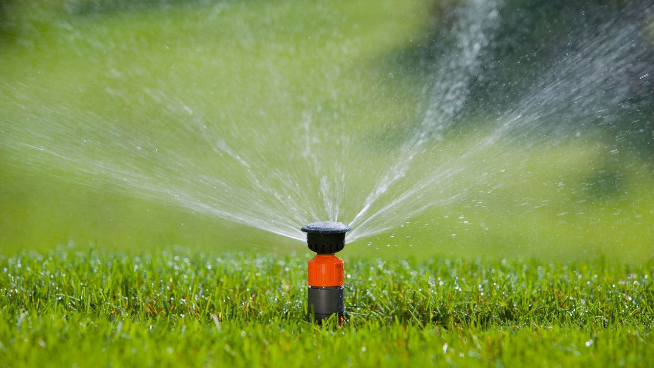 sprinkler in action watering a lawn