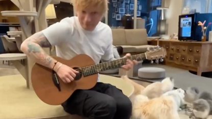 Ed Sheeran serenading cats