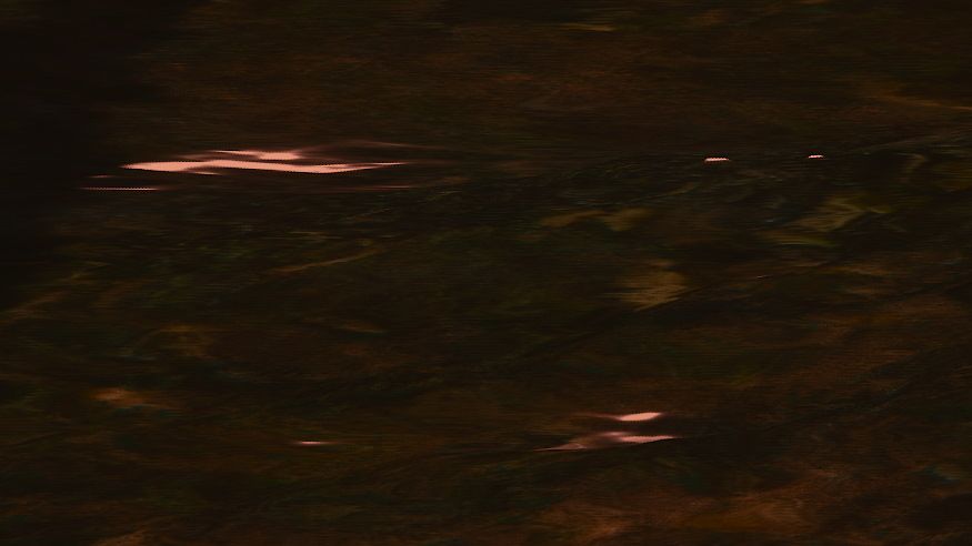 8K screenshots of The Witcher 3 game