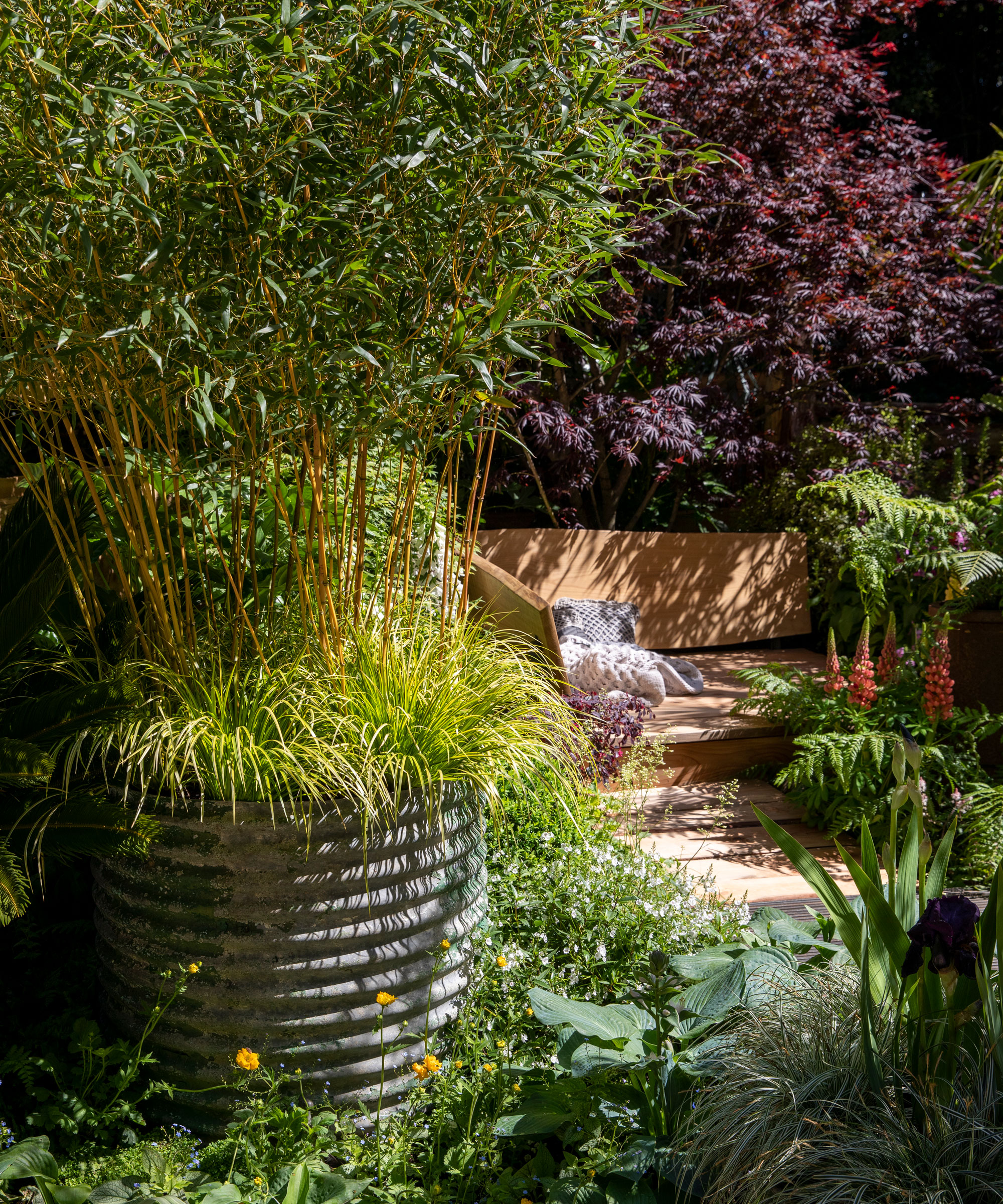 garden design with bamboo and ornamental grass in oversized galvanised container with planting and garden sofa