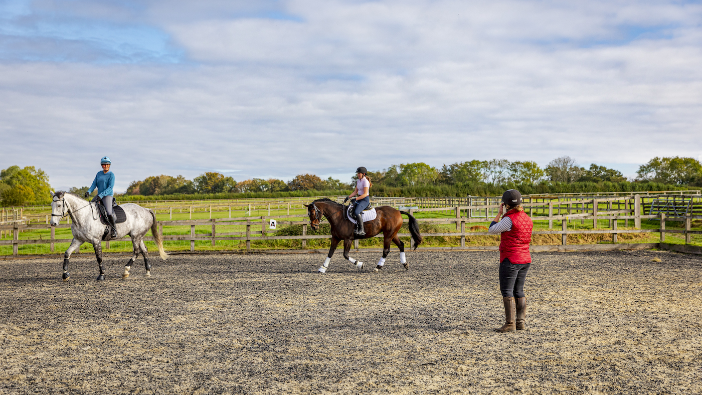 Two horses riding in a group lesson