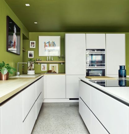 White handleless kitchen units with green walls and ceiling, open shelving and floor to ceiling cabinetry