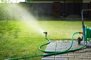 Sprinkler connected to hose sprays water over lawn.