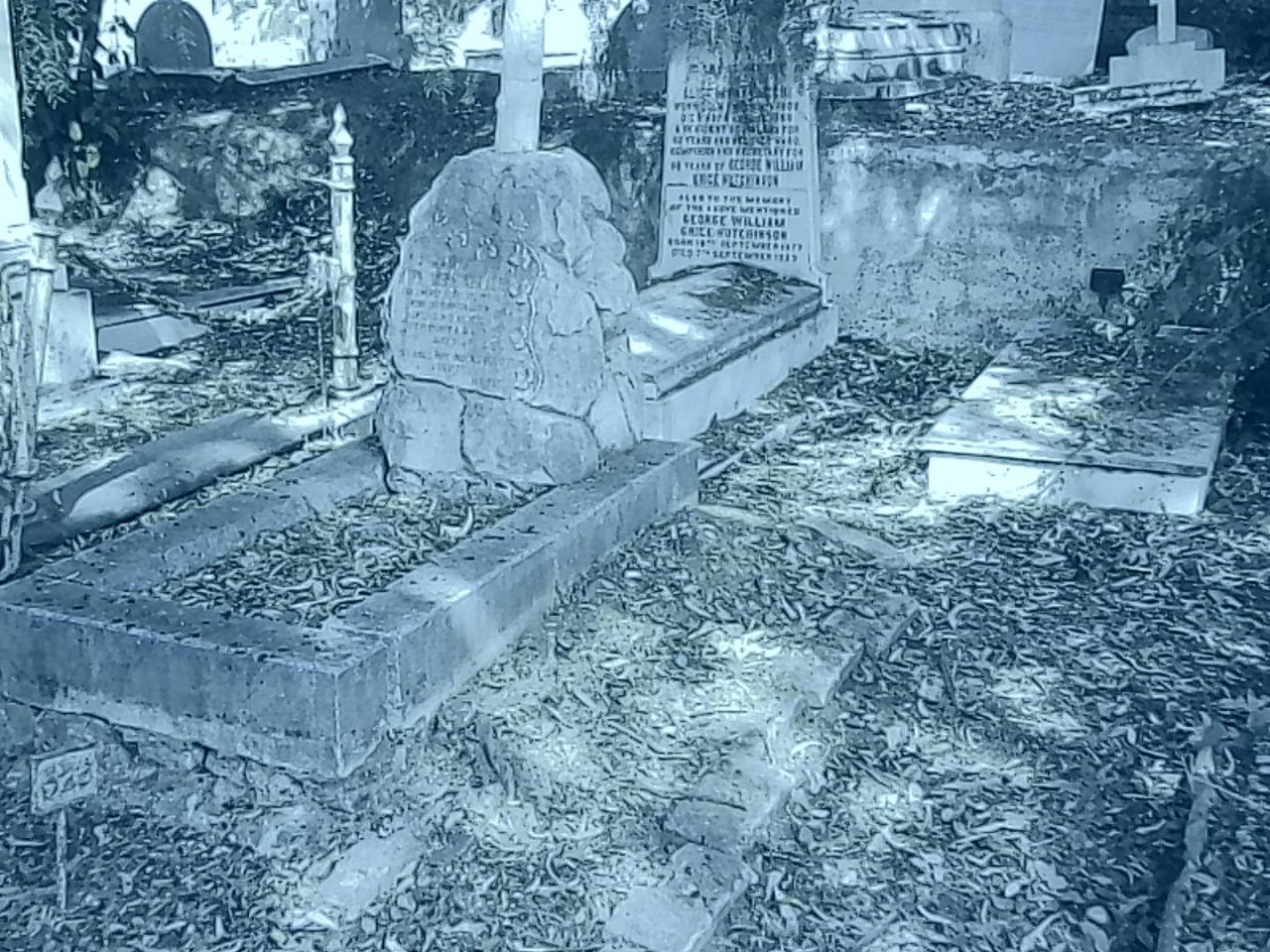 Sample image shot with Kodak Charmera