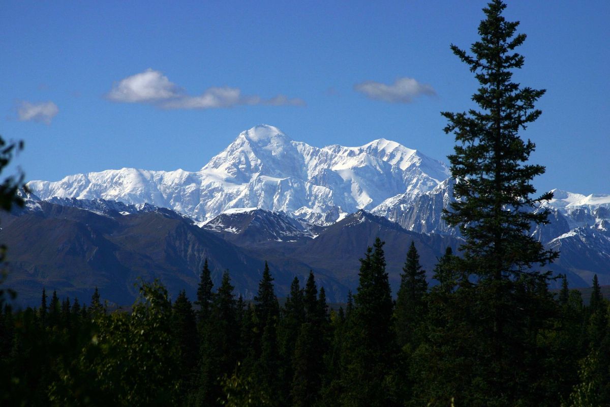 Denali National Park