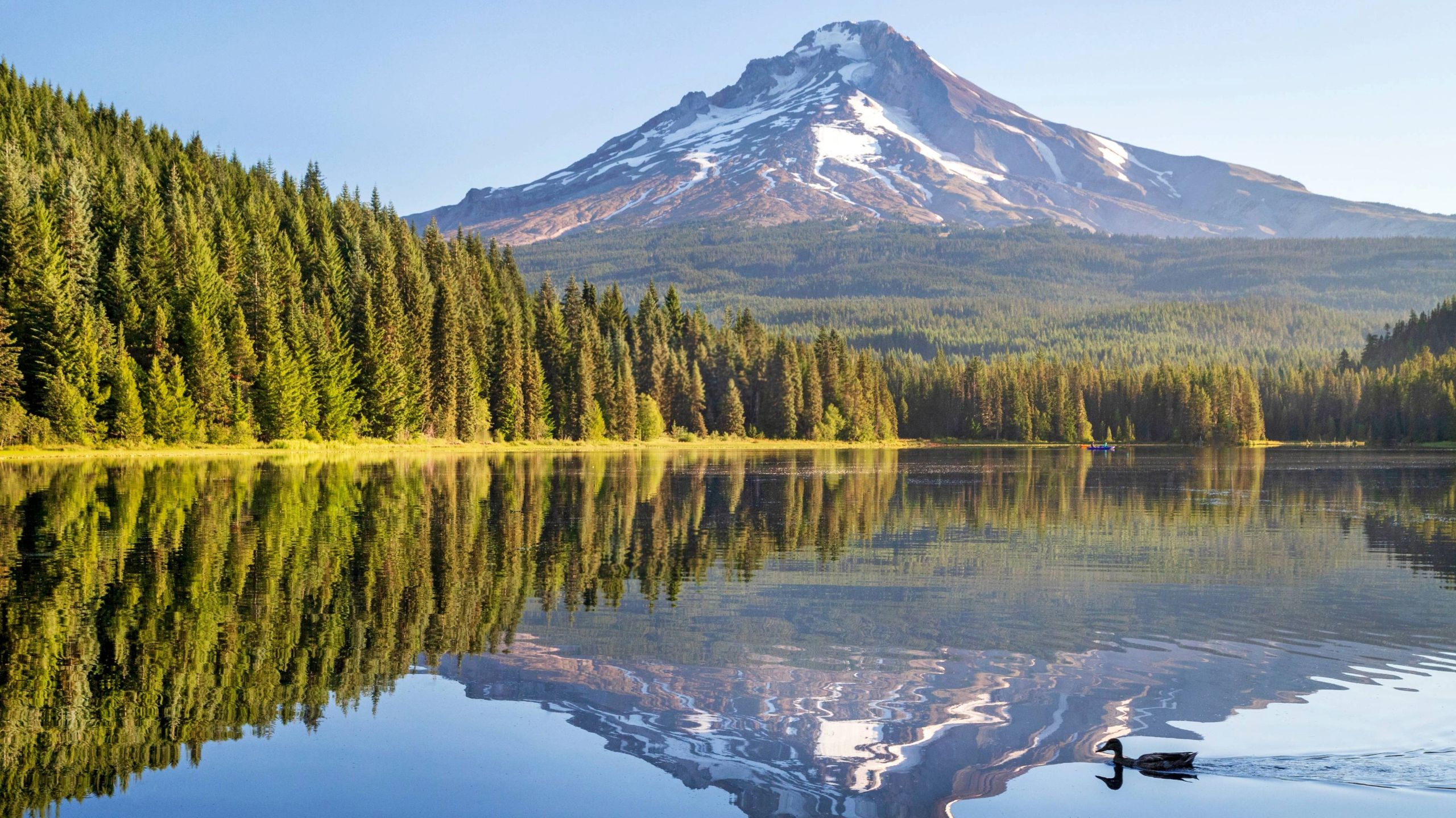 Oregon Could Be the Retirement Haven You Don't Know About: 13 Facts to Consider, From a Financial Planner Who Lives There