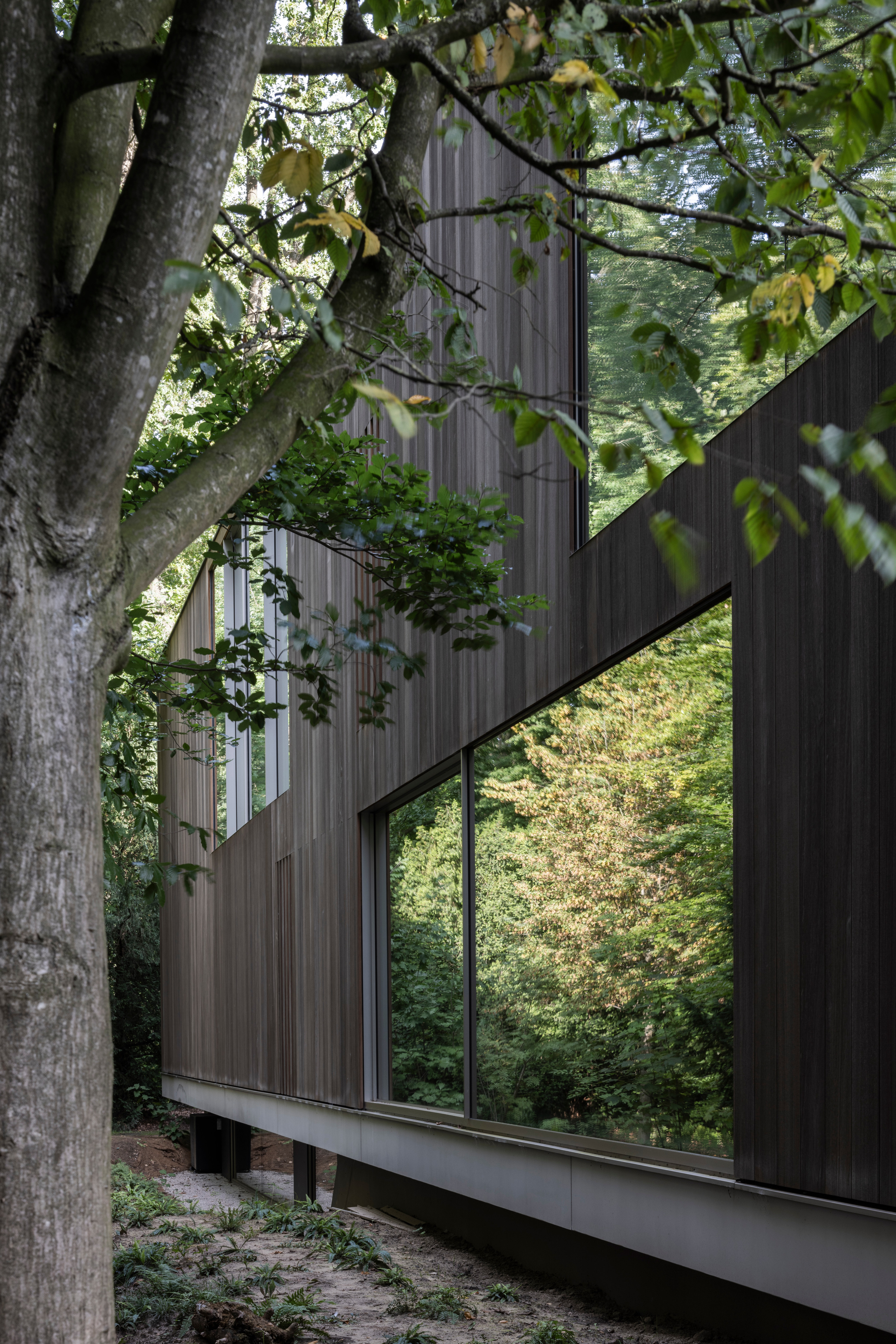 The villa is set within a mature forest