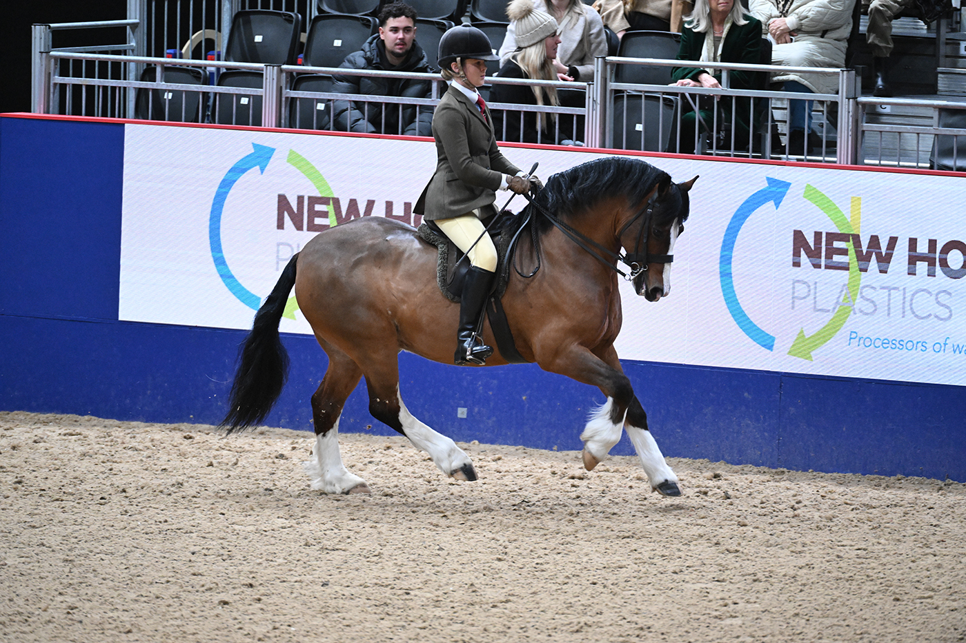 HorseNo19_LIHS_PN23_120769
