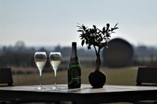 sparkling-furmint-landscape-for-web.jpg