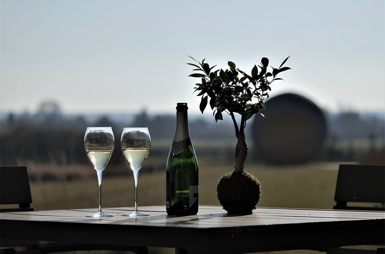 sparkling-furmint-landscape-for-web.jpg