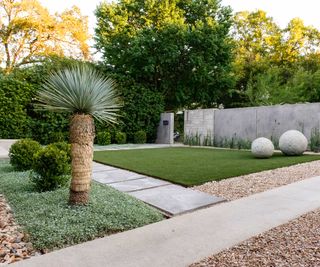 contemporary front yard with lawn by Eden Garden Design