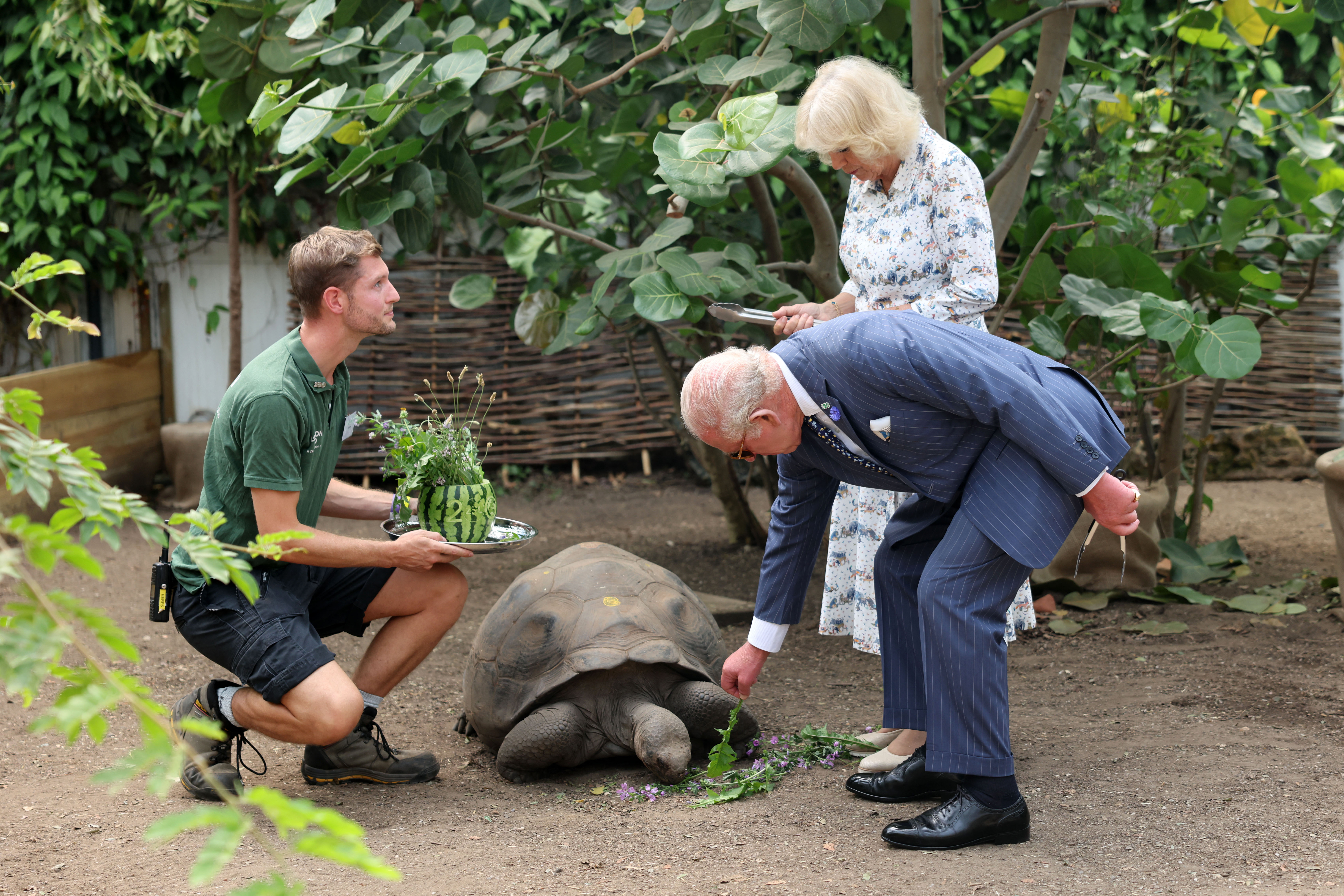 King Charles wears a suit to visit to ZSL London Zoo to celebrate the zoo's 200th anniversary in central London on July 9, 2026