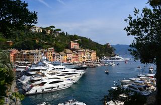 yachts in a harbour