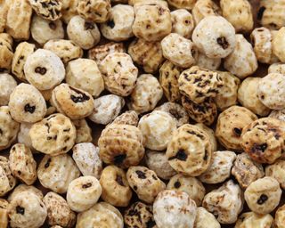 Tiger nuts freshly harvested from sedge plants